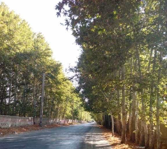 رستوران‌های سهیلیه کرج