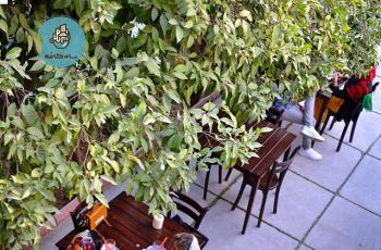 بام كافه (شيراز)