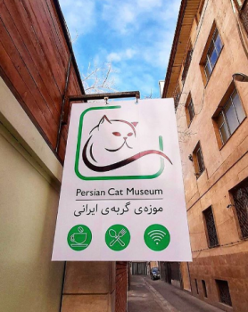 موزه گربه ایرانی